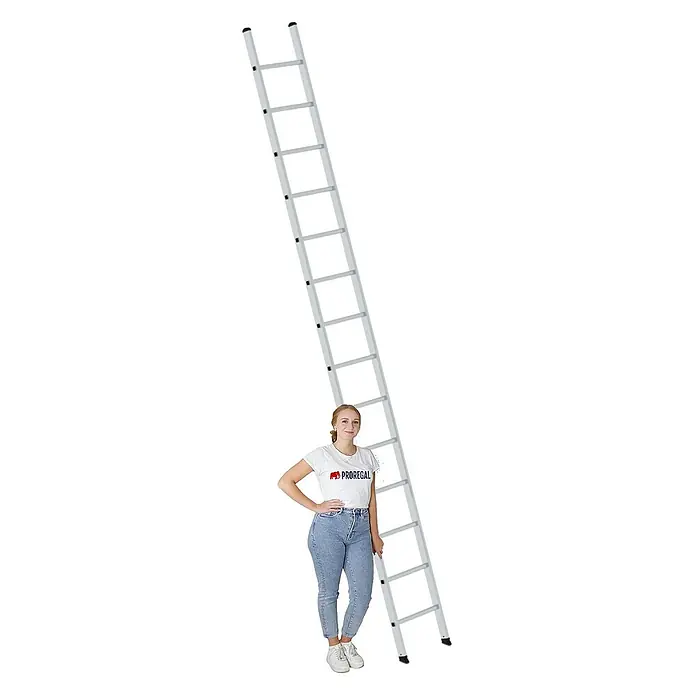 Proregal Anlegeleiter mit 14 Sprossen - Anzahl Tritte: 14 Stk., Arbeitshöhe: 5.300 mm, Belastbarkeit: 150 kg, Aluminium