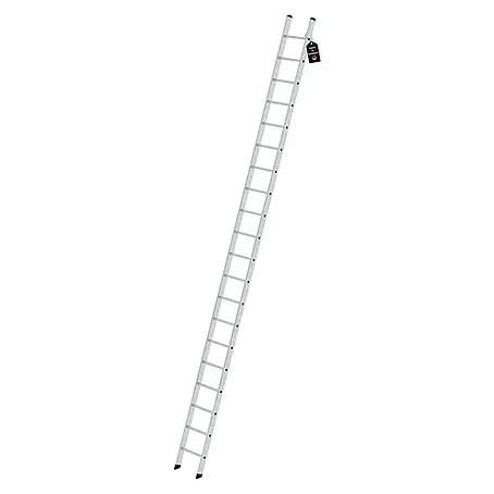 Proregal  Anlegeleiter mit 20 Sprossen