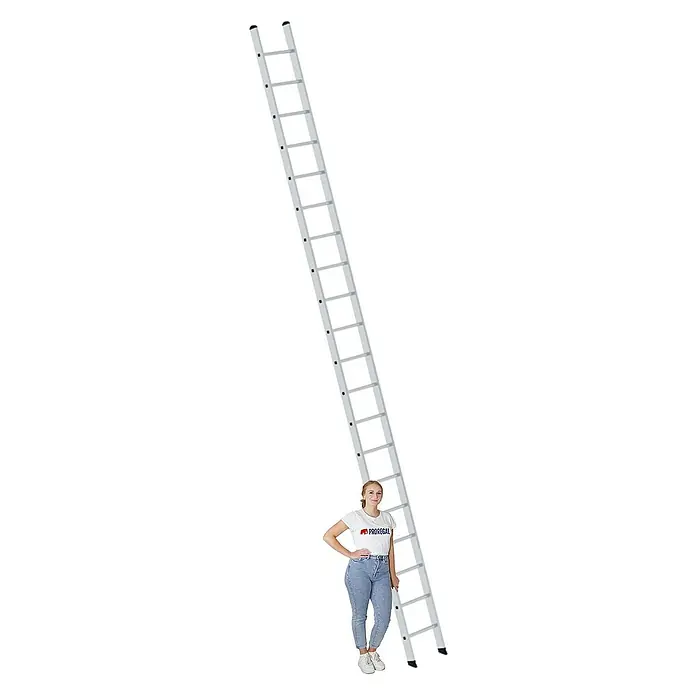 Proregal Anlegeleiter mit 20 Sprossen - Anzahl Tritte: 20 Stk., Arbeitshöhe: 6.900 mm, Belastbarkeit: 150 kg, Aluminium - Hohe silberne Aluminium-Anlegeleiter mit einer Person am Fuß als Maßstab.