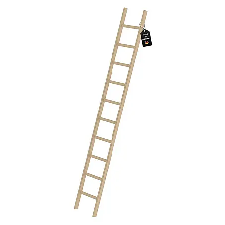 Proregal  Anlegeleiter mit 10 Sprossen