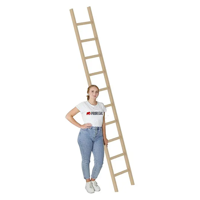 Proregal Anlegeleiter mit 10 Sprossen - Anzahl Tritte: 10 Stk., Arbeitshöhe: 4.100 mm, Belastbarkeit: 150 kg, Holz - Eine Frau in weißem T-Shirt mit "PROREGAL"-Logo und blauen Jeans steht neben einer hohen, hellen Holzleiter und zeigt deren Größe.