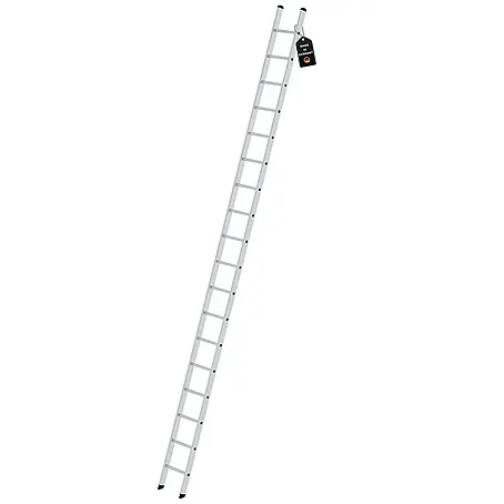 Proregal  Anlegeleiter mit 18 Sprossen