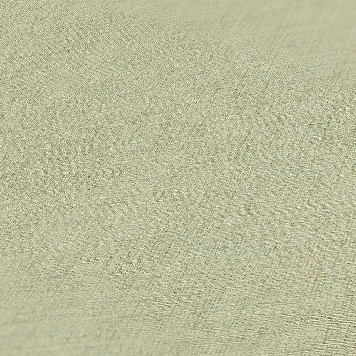 Tadessi Vliestapete M1-No.3078 - Grün, Uni, 10,05 x 0,53 m