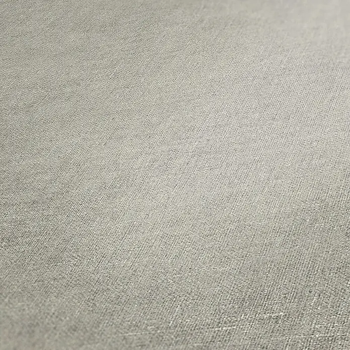 Tadessi Vliestapete M1-No.998 - Grau, Uni, 10,05 x 0,53 m