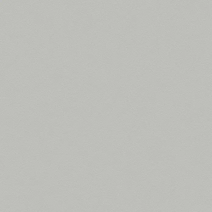 Tadessi Vliestapete M1-No.2228 - Grau, Uni, 10,05 x 0,53 m
