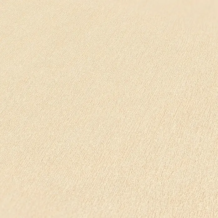 Tadessi Vliestapete M1-No.3427 - Beige, Uni, 10,05 x 0,53 m