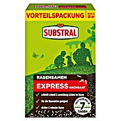 Substral Rasensamen Express Nachsaat (1 kg, 50 m²) | BAUHAUS