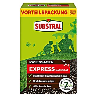 Substral Rasensamen Express Nachsaat (1 kg, 50 m²)