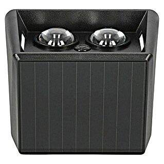 BAUHAUS Solarna vanjska zidna svjetiljka (D x Š x V: 6,4 x 10,7 x 9,7 cm, Crna, IP65, 40 lm)