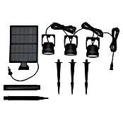 BAUHAUS Set solarnih svetilk  (3 W, Črna, IP44, 150 lm) | Solarne svetilke | Zunanja svetila | Elektro in svetila | Izdelki | BAUHAUS