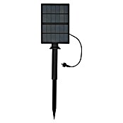 BAUHAUS Set solarnih svetilk  (3 W, Črna, IP44, 150 lm) | Solarne svetilke | Zunanja svetila | Elektro in svetila | Izdelki | BAUHAUS