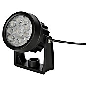 BAUHAUS Set solarnih svetilk  (3 W, Črna, IP44, 150 lm) | Solarne svetilke | Zunanja svetila | Elektro in svetila | Izdelki | BAUHAUS