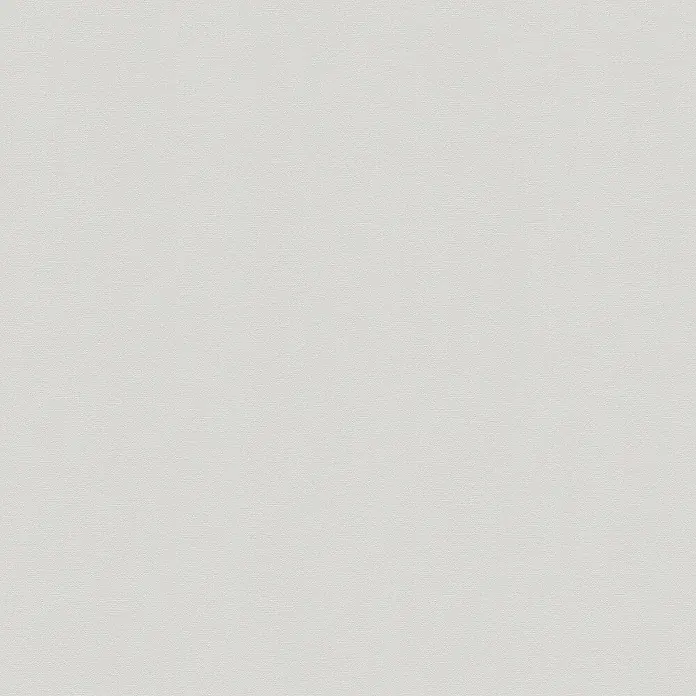 Tadessi Vliestapete M1-No.2146 - Grau, Uni, 10,05 x 0,53 m