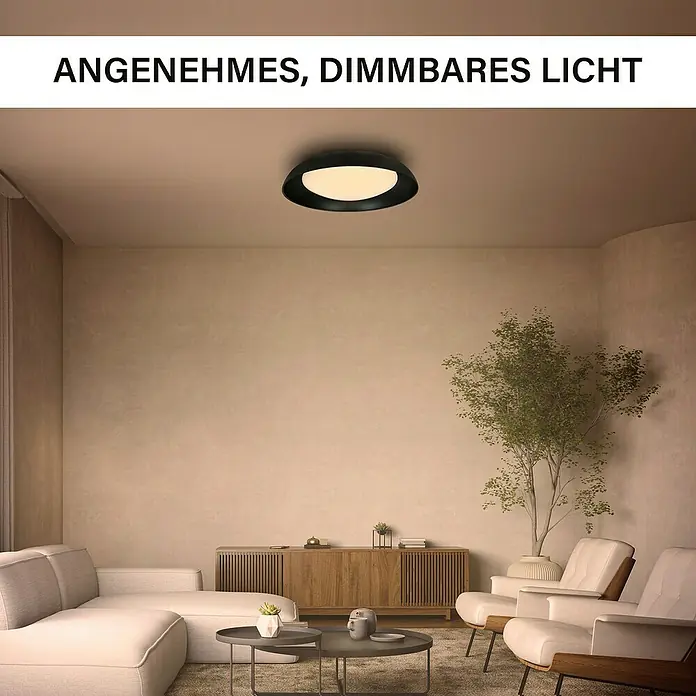 MegaLight LED-Deckenleuchte rund Bowl - 24 W, Ø x H: 40 x 9,5 cm, Schwarz, Warmweiß - Ein modernes Deckenlicht mit sanftem, dimmbarem Licht. Perfekt für gemütliche Abende im Wohnzimmer. Es sorgt für eine tolle Atmosphäre.