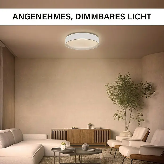 MegaLight LED-Deckenleuchte rund Shining Arctica - 24 W, Ø x H: 39 x 7,5 cm, Weiß, Bernstein - Elegante, dimmbare Deckenleuchte für angenehmes Licht. Ideal für Wohnräume, sorgt sie für eine stilvolle und funktionale Beleuchtung.