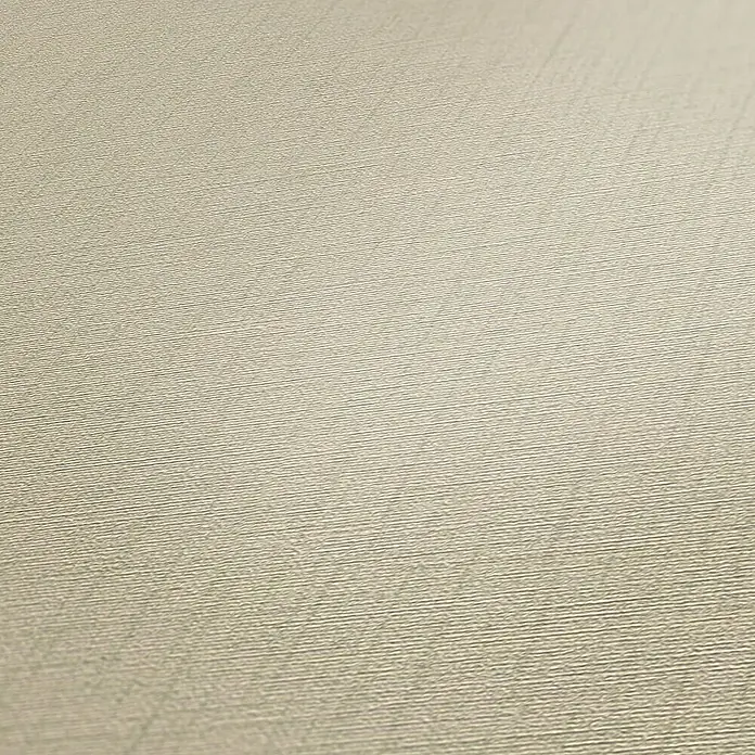 Tadessi Vliestapete M1-No.1940 - Grau, Uni, 10,05 x 0,53 m