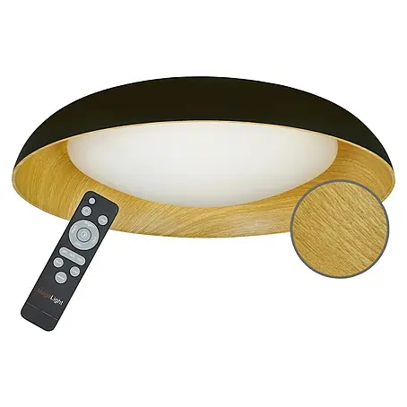 MegaLight  LED-Deckenleuchte rund Bowl