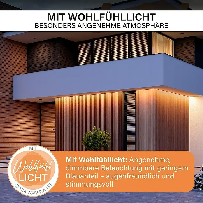 MegaLight LED-Stripes Neon - Länge: 5 m, 700 lm, Warmweiß - Gemütliche Atmosphäre dank Wohlfühllicht: Dimmbare Beleuchtung mit geringem Blauanteil für ein augenfreundliches, stimmungsvolles Ambiente.