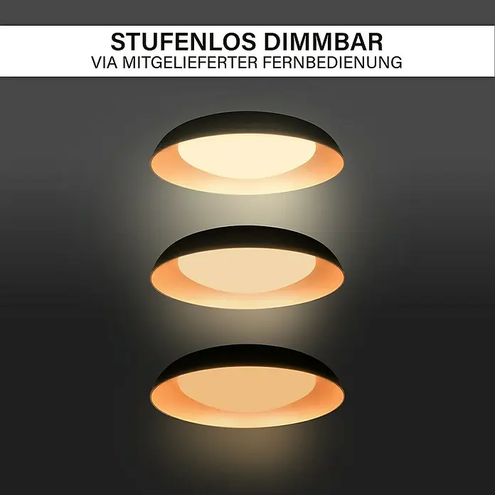MegaLight LED-Deckenleuchte rund Bowl - 24 W, Ø x H: 49 x 9,5 cm, Rosegold, Warmweiß - Drei dimmbare Deckenleuchten in Schwarz und Gold im Fokus, die mit einer Fernbedienung stufenlos einstellbar sind.