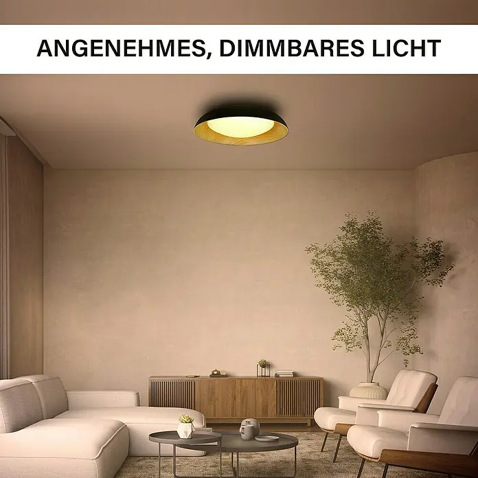 MegaLight LED-Deckenleuchte rund Bowl - 24 W, Ø x H: 40 x 9,5 cm, Wood, Warmweiß - Eine moderne, dimmbare Deckenleuchte sorgt für angenehmes Licht im Raum. Die Leuchte besticht durch ihr Holz- und Metalldesign.