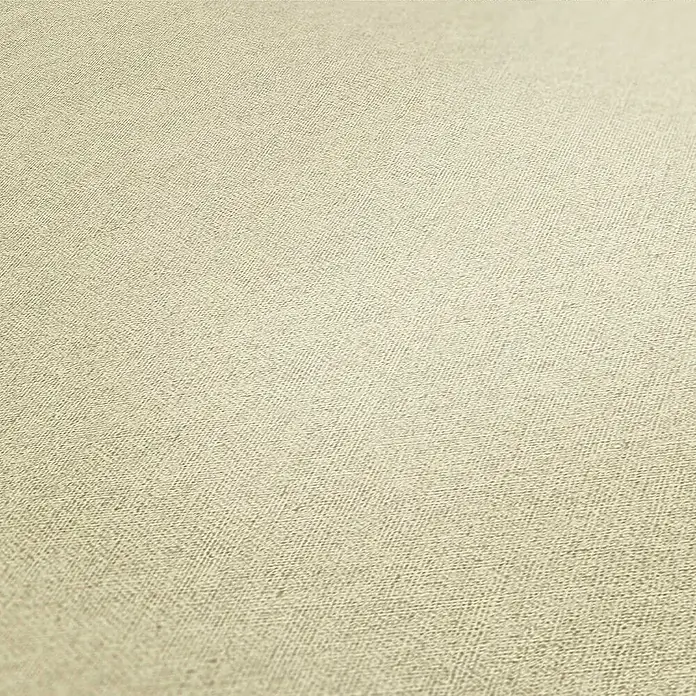 Tadessi Vliestapete M1-No.1003 - Beige, Uni, 10,05 x 0,53 m