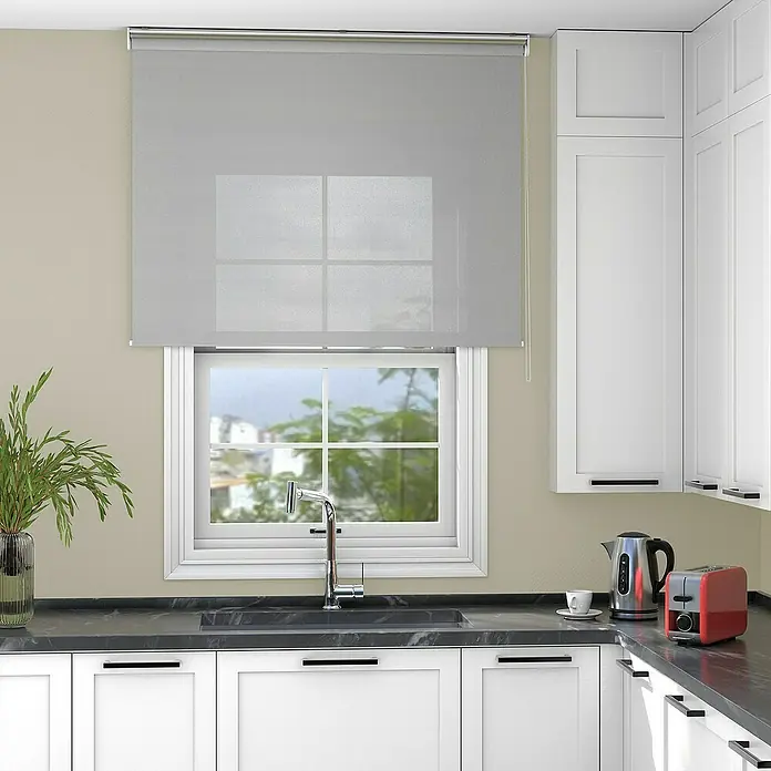 Deco-Raum Rollo Tageslicht Basic GL - B x H: 65 x 150 cm, Grau, Uni