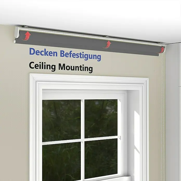 Deco-Raum Rollo Tageslicht Basic GL - B x H: 60 x 150 cm, Dunkelgrau, Uni