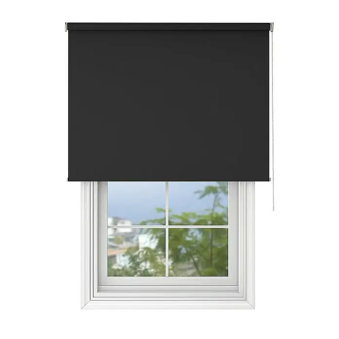Deco-Raum Rollo Tageslicht Basic GL - B x H: 80 x 220 cm, Schwarz, Uni