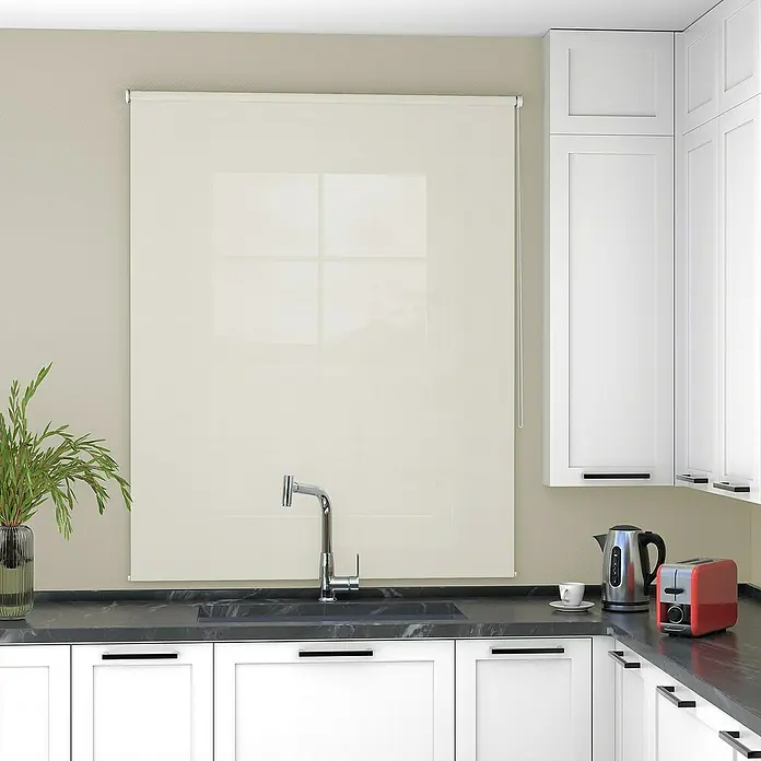 Deco-Raum Rollo Tageslicht Basic GL - B x H: 60 x 150 cm, Beige, Uni