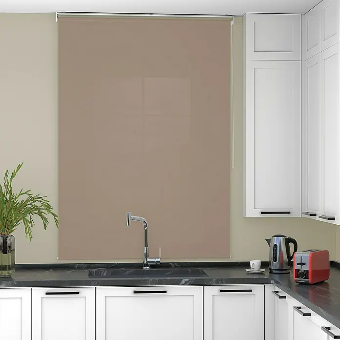Deco-Raum Rollo Tageslicht Basic GL - B x H: 50 x 150 cm, Cappuccino, Uni