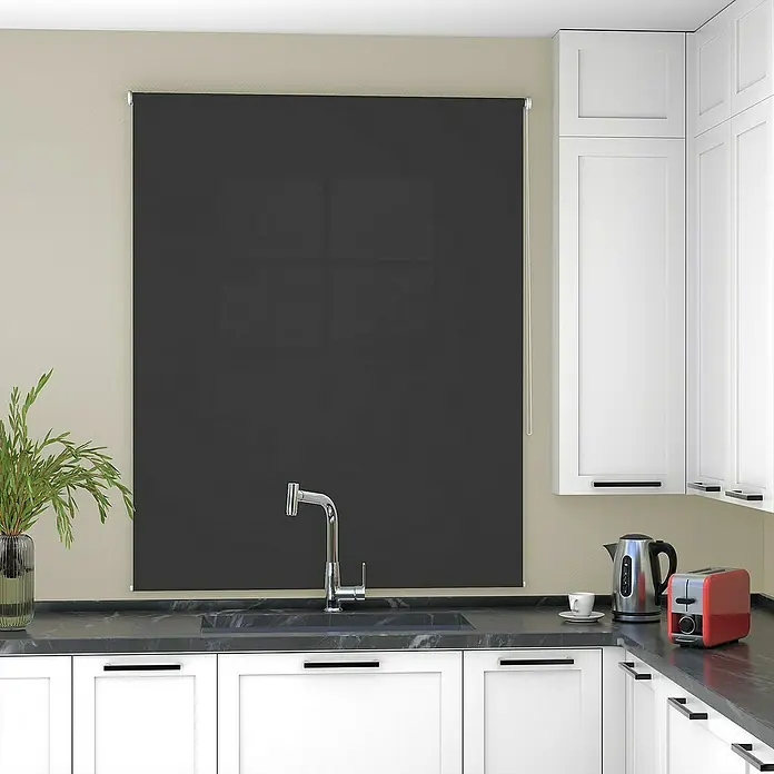 Deco-Raum Rollo Tageslicht Basic GL - B x H: 45 x 150 cm, Schwarz, Uni