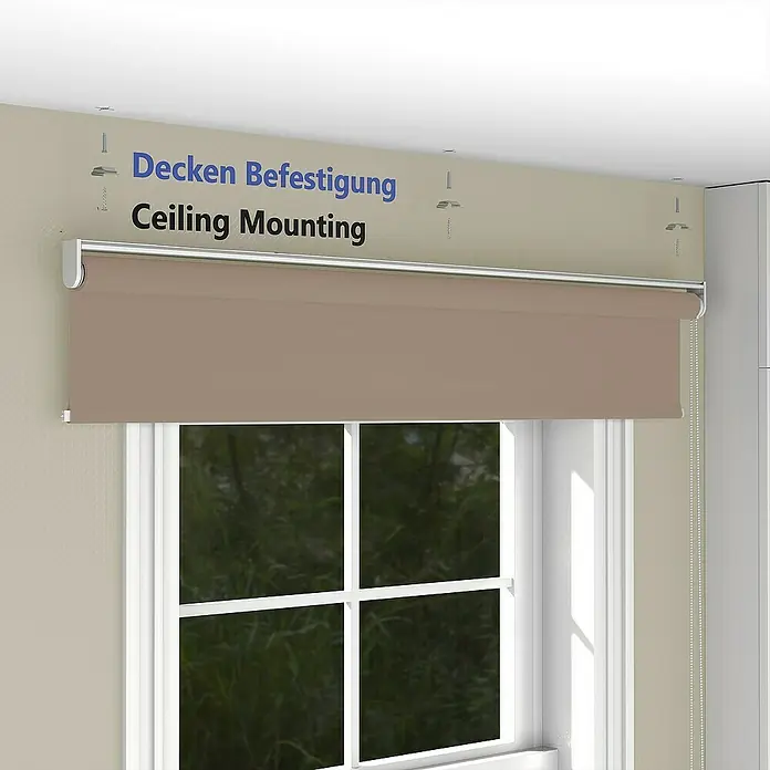 Deco-Raum Rollo Tageslicht Basic GL - B x H: 55 x 150 cm, Cappuccino, Uni