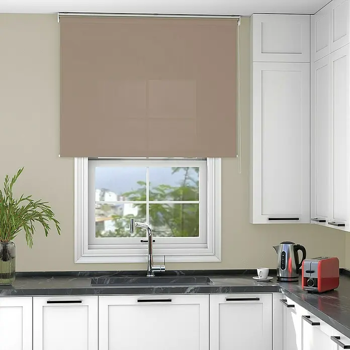 Deco-Raum Rollo Tageslicht Basic GL - B x H: 95 x 220 cm, Cappuccino, Uni