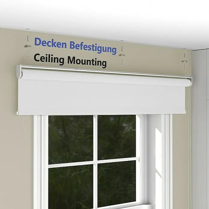 Deco-Raum Rollo Tageslicht Basic GL - B x H: 60 x 150 cm, Weiß, Uni