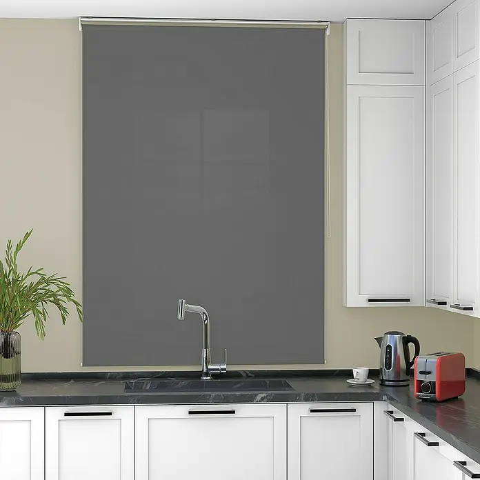 Deco-Raum Rollo Tageslicht Basic GL - B x H: 85 x 150 cm, Dunkelgrau, Uni