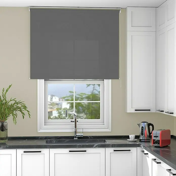 Deco-Raum Rollo Tageslicht Basic GL - B x H: 85 x 150 cm, Dunkelgrau, Uni