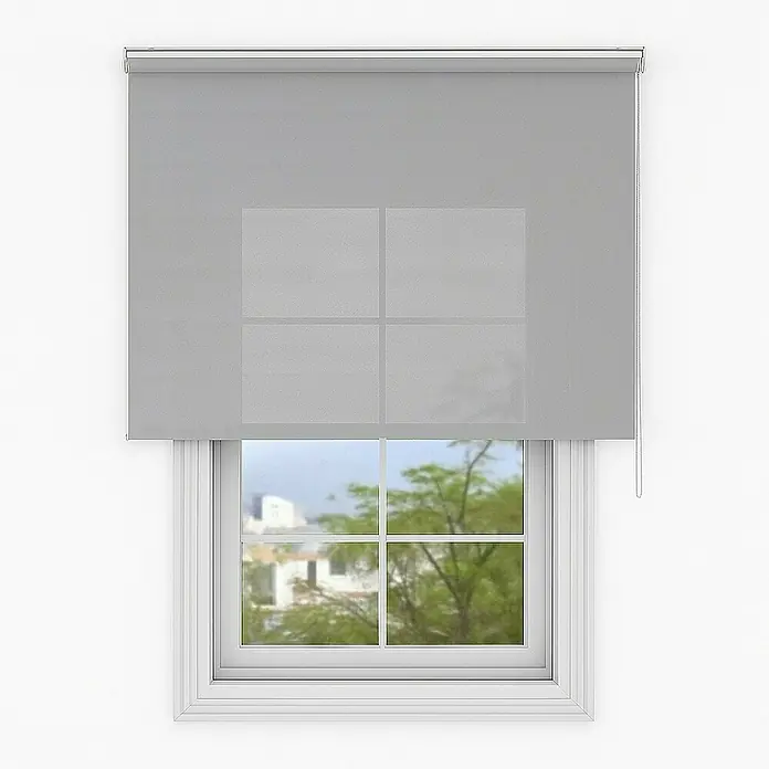 Deco-Raum Rollo Tageslicht Basic GL - B x H: 95 x 150 cm, Grau, Uni