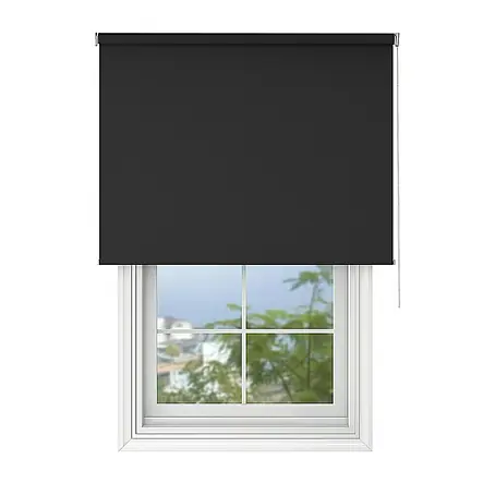 Deco-Raum  Rollo Tageslicht Basic GL