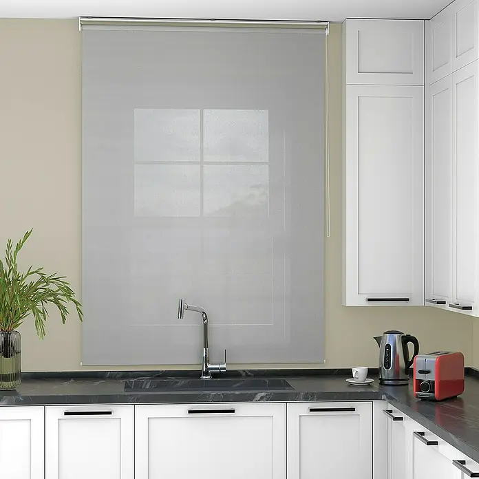 Deco-Raum Rollo Tageslicht Basic GL - B x H: 75 x 150 cm, Grau, Uni