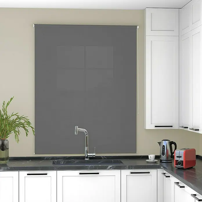 Deco-Raum Rollo Tageslicht Basic GL - B x H: 70 x 150 cm, Dunkelgrau, Uni