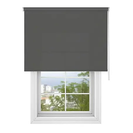 Deco-Raum  Rollo Tageslicht Basic GL