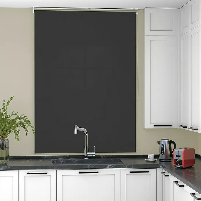 Deco-Raum Rollo Tageslicht Basic GL - B x H: 85 x 150 cm, Schwarz, Uni