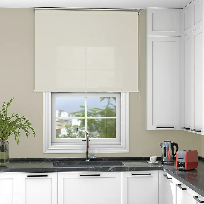 Deco-Raum Rollo Tageslicht Basic GL - B x H: 90 x 220 cm, Beige, Uni