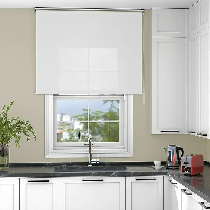 Deco-Raum Rollo Tageslicht Basic GL - B x H: 75 x 220 cm, Weiß, Uni