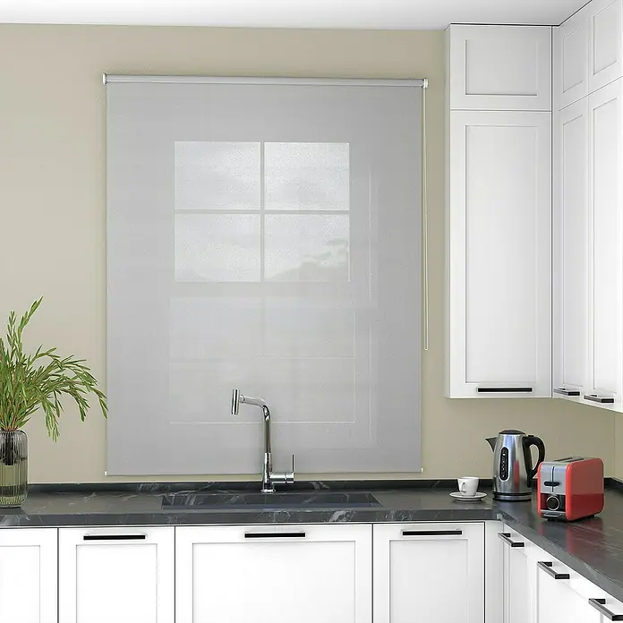 Deco-Raum Rollo Tageslicht Basic GL - B x H: 80 x 150 cm, Grau, Uni