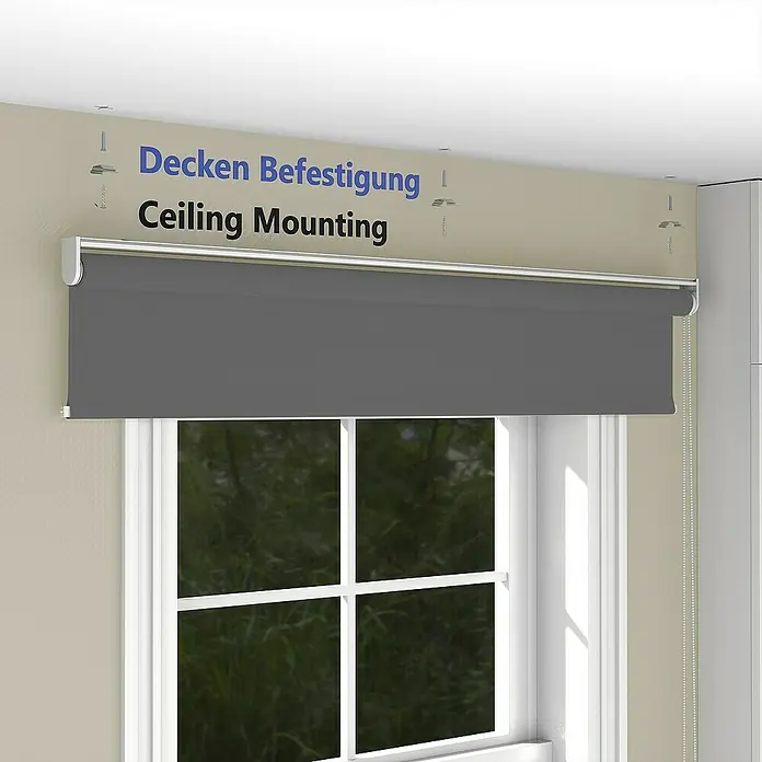 Deco-Raum Rollo Tageslicht Basic GL - B x H: 75 x 220 cm, Dunkelgrau, Uni
