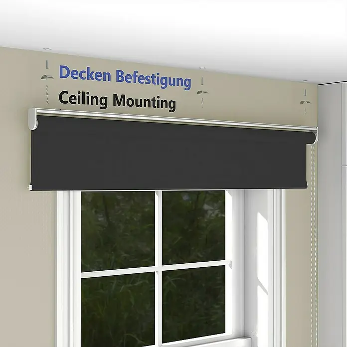 Deco-Raum Rollo Tageslicht Basic GL - B x H: 50 x 150 cm, Schwarz, Uni
