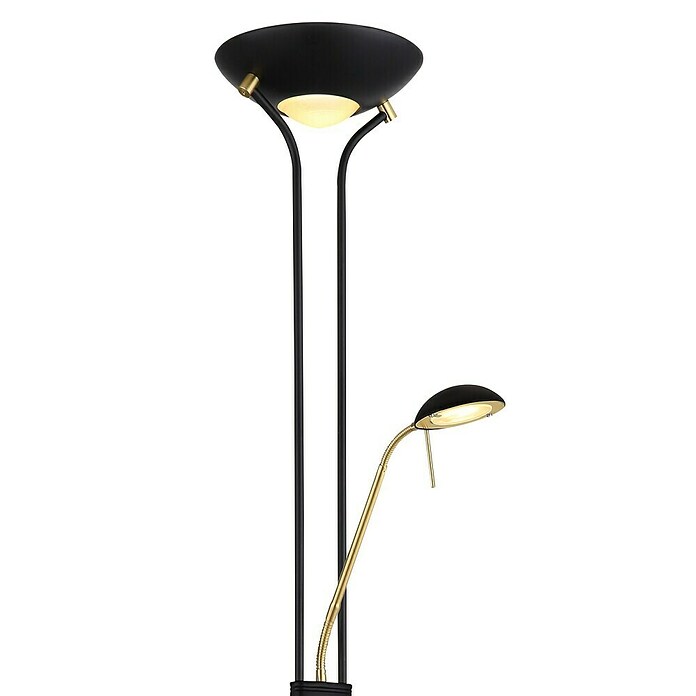 Globo LED-Stehleuchte Leonas (20 W, Ø x H: 255 cm x 1 800 mm, Schwarz/Gold, Warmweiß) | BAUHAUS