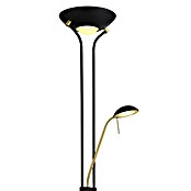 Globo LED-Stehleuchte Leonas (20 W, Ø x H: 255 cm x 1 800 mm, Schwarz/Gold, Warmweiß) | BAUHAUS