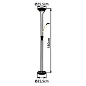 Globo LED-Stehleuchte Leonas (20 W, Ø x H: 255 cm x 1 800 mm, Schwarz/Gold, Warmweiß) | BAUHAUS